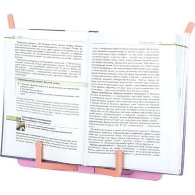 Подставка для книг и учебников BRAUBERG KIDS "Dinosaurs", регулируемый угол наклона, ABS-пластик, 238060