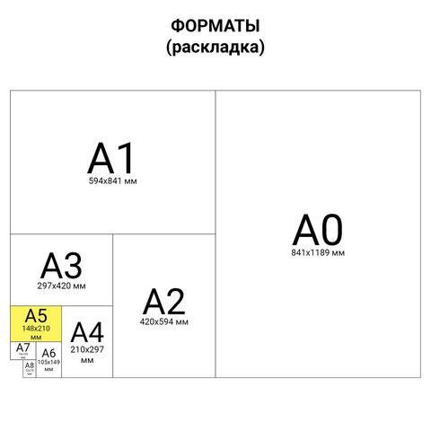 Карманы информационные самоклеящиеся PS-T, А5, вертикальные, КОМПЛЕКТ 10 шт., ПЭТ, толщина 0,3 мм, 171886