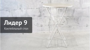 Стол Лидер 9 с Чехлом для стола 10 цена 4 818.50 ₽ Стол Лидер 9 с Чехлом для стола 10